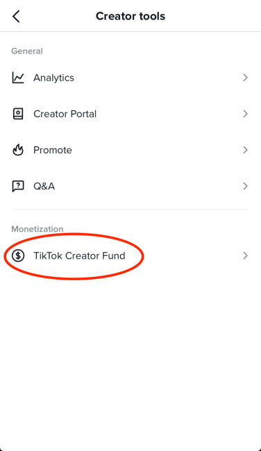 Tiktok Creator Fund Dashboard